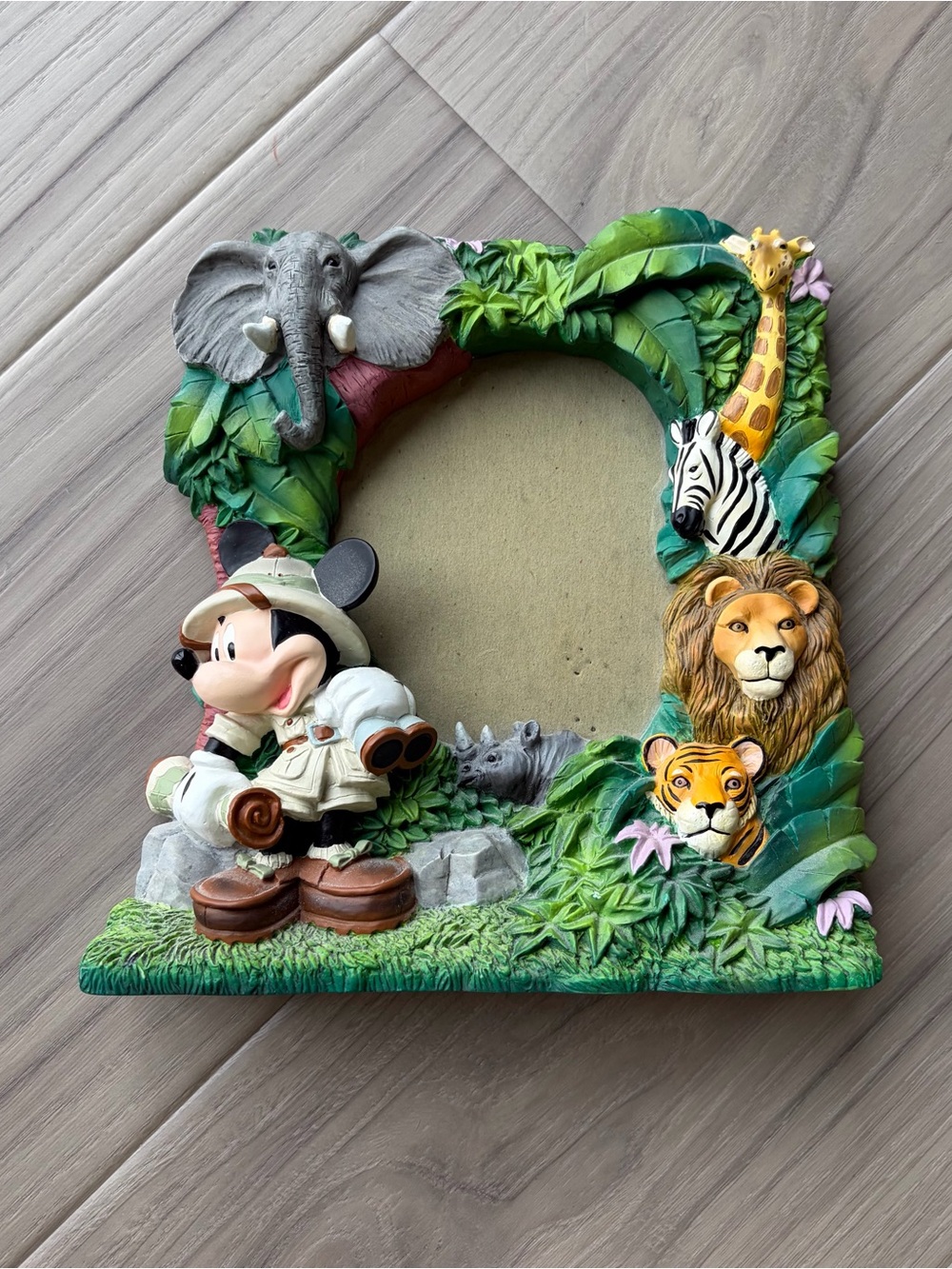 Disney Animal Kingdom Picture Frame